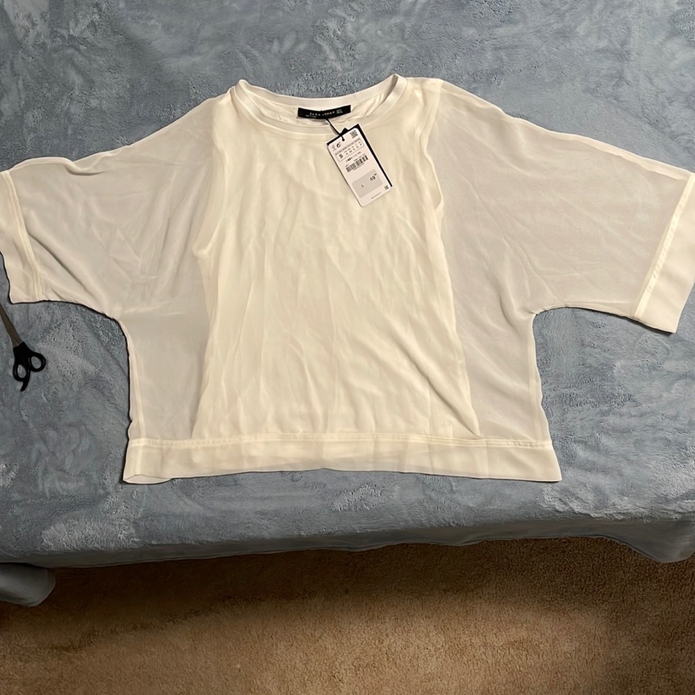 Zara Blouse.